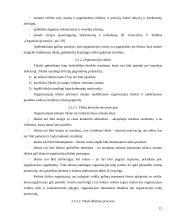 Organizacijos egzistavimo sąlygos 12 puslapis