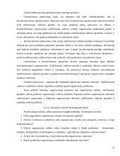 Organizacijos egzistavimo sąlygos 13 puslapis