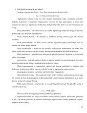 Organizacijos egzistavimo sąlygos 14 puslapis