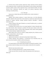 Organizacijos egzistavimo sąlygos 15 puslapis