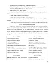 Organizacijos egzistavimo sąlygos 16 puslapis