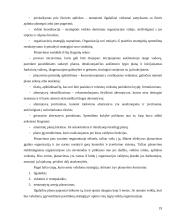 Organizacijos egzistavimo sąlygos 19 puslapis