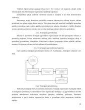 Organizacijos egzistavimo sąlygos 20 puslapis
