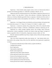 Organizacijos egzistavimo sąlygos 4 puslapis