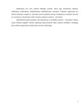 Organizacijos egzistavimo sąlygos 5 puslapis