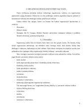 Organizacijos egzistavimo sąlygos 6 puslapis