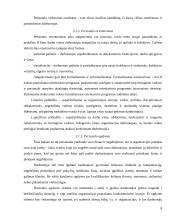 Organizacijos egzistavimo sąlygos 8 puslapis
