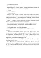 Organizacijos strategijos kūrimas ir organizavimas: viešbutis "Velga" 13 puslapis