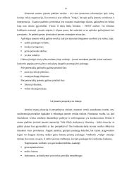 Organizacijos strategijos kūrimas ir organizavimas: viešbutis "Velga" 19 puslapis