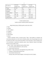 Organizacijos strategijos kūrimas ir organizavimas: viešbutis "Velga" 9 puslapis