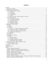 Organizacijos vidinės ir išorinės aplinkos analizė 2 puslapis