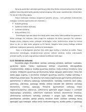 Organizacijos vidinės ir išorinės aplinkos analizė 12 puslapis