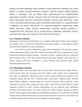 Organizacijos vidinės ir išorinės aplinkos analizė 13 puslapis