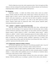 Organizacijos vidinės ir išorinės aplinkos analizė 17 puslapis