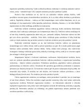 Organizacijos vidinės ir išorinės aplinkos analizė 18 puslapis