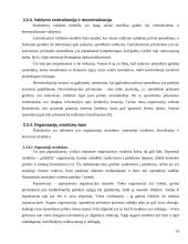 Organizacijos vidinės ir išorinės aplinkos analizė 19 puslapis