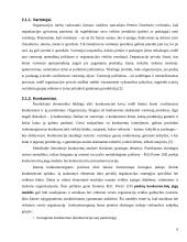 Organizacijos vidinės ir išorinės aplinkos analizė 6 puslapis