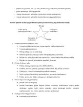 Organizacijos vidinės ir išorinės aplinkos analizė 7 puslapis