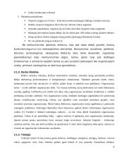 Organizacijos vidinės ir išorinės aplinkos analizė 8 puslapis