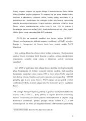 Pagrindinės NATO reformų kryptys ir reikšmė 5 puslapis