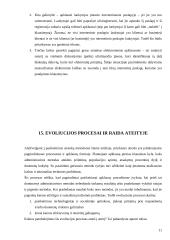 Pagrindiniai anketų sudarymo principai 11 puslapis