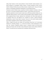 Pagrindiniai anketų sudarymo principai 5 puslapis