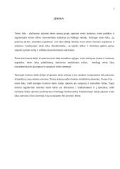 Pagrindinių teisės šakų bendra charakteristika 3 puslapis