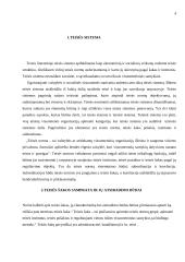 Pagrindinių teisės šakų bendra charakteristika 4 puslapis