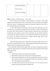 Pajamų ir įplaukų samprata bei jų apskaita 11 puslapis