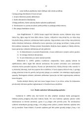 Pajamų ir įplaukų samprata bei jų apskaita 12 puslapis