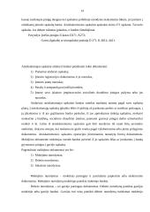 Pajamų ir įplaukų samprata bei jų apskaita 13 puslapis