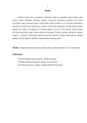 Pajamų ir įplaukų samprata bei jų apskaita 2 puslapis