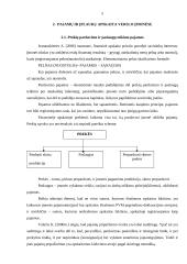 Pajamų ir įplaukų samprata bei jų apskaita 4 puslapis