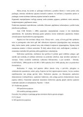 Pajamų ir įplaukų samprata bei jų apskaita 6 puslapis