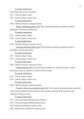 Pajamų rūšys ir jų pripažinimo apskaitoje tvarka 11 puslapis