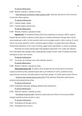 Pajamų rūšys ir jų pripažinimo apskaitoje tvarka 12 puslapis