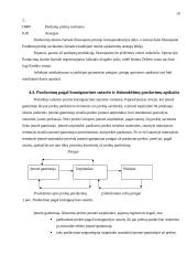 Pajamų rūšys ir jų pripažinimo apskaitoje tvarka 19 puslapis