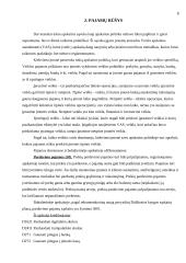 Pajamų rūšys ir jų pripažinimo apskaitoje tvarka 8 puslapis