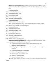 Pajamų rūšys ir jų pripažinimo apskaitoje tvarka 10 puslapis