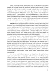 Pajamų žemės ūkyje samprata, makroekonominiai rodikliai 8 puslapis