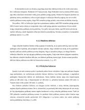 Palūkanų normos ir jas veikiantys veiksniai 12 puslapis