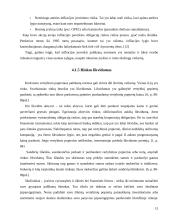 Palūkanų normos ir jas veikiantys veiksniai 15 puslapis