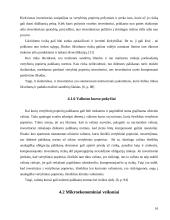 Palūkanų normos ir jas veikiantys veiksniai 16 puslapis