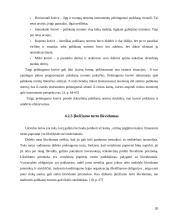 Palūkanų normos ir jas veikiantys veiksniai 20 puslapis