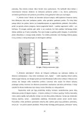 Pardavimų skatinimo prekybos vietose analizė didžiųjų prekybos centrų pavyzdžiu 10 puslapis