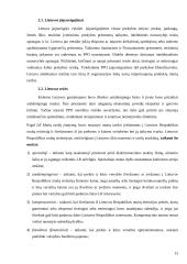 Pasaulinė prekybos organizacija  (PPO) dabartinėmis sąlygomis 12 puslapis