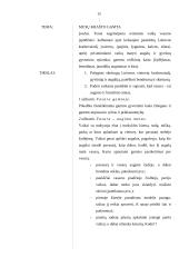 Pasaulio suvokimas stebint natūralią gamtą 15 puslapis