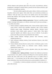 Pasaulio suvokimas stebint natūralią gamtą 6 puslapis