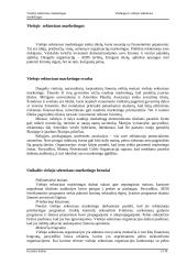 Paslaugų ir viešojo sektoriaus marketingas Jungtinių Amerikos Valstijų (JAV) pavyzdžiu 13 puslapis