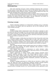 Paslaugų ir viešojo sektoriaus marketingas Jungtinių Amerikos Valstijų (JAV) pavyzdžiu 15 puslapis